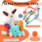 Dog Toys for Small Dogs ,10 Pack Puppy Chew Toys for Teething and Training with Plush Squeaky Toys, Treat Ball and Rope Toys to Keep Them Busy，White Dog