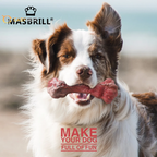 Indestructible Dog Chew Toys for Large Breeds – Tough Rubber Teething & Teeth-Cleaning Toys for Aggressive Chewers