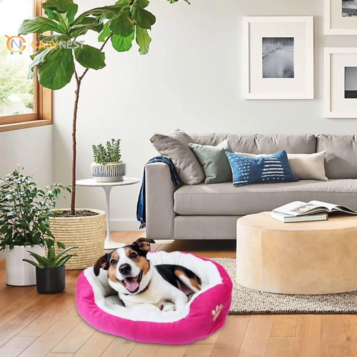 Small Dog & Cat Bed – Puppy Pet Bed with Removable Cushion for Indoor Use