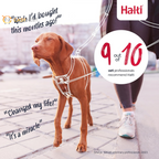 No Pull Dog Harness – Adjustable, Reflective & Lightweight Training Harness to Stop Pulling, 
